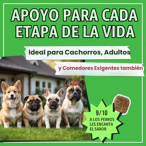 Vista 8 de Masticables sin caca para perros, coprofagia y disuasorio para comer heces Hígado de Carne