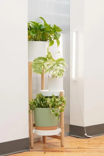 Vista 6 de Soltech Solutions Grove™ - Luz LED para cultivo, debajo del gabinete/estantería o montada en la pared para plantas de interior y hierbas, control