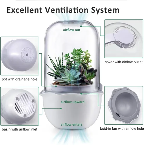 Vista 8 de Smart Venus - Maceta de terrario con temporizador y ventilador, kit de terrario para plantas con luz de crecimiento para carnívoros, Butterwort