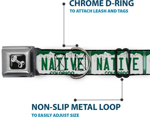 Vista 5 de Buckle-Down Collar de perro con hebilla para cinturón de seguridad, placa de matrícula de Colorado, 1 pulgada de ancho, se adapta a cuello de 15 a