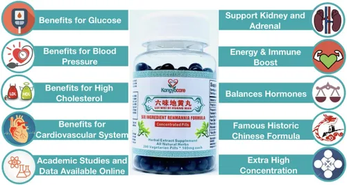 Vista 2 de Liu Wei Di Huang Wan - Fórmula de Rehmannia de seis ingredientes, energía y refuerzo inmunológico, equilibra las hormonas, los lípidos y la presión