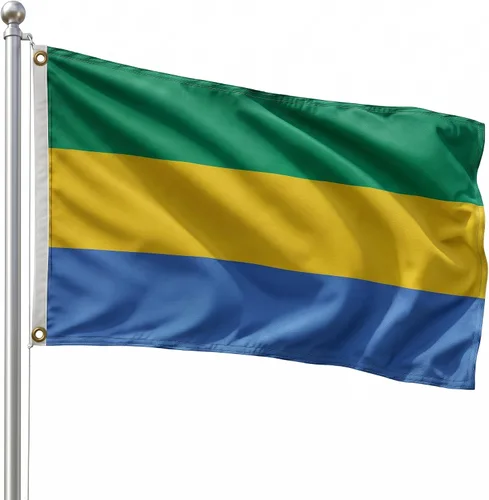 Vista 161 de DMSE - Bandera nacional beninesa beninesa de la República de África Occidental, 2 x 3 pies, 100 % poliéster, 100 % poliéster, resistente a los rayos
