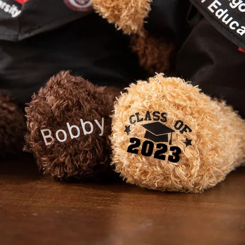 Vista 4 de Oso de peluche de graduación con nombre personalizado con insignia escolar, oso de peluche con tabla de mortero, regalos de graduación