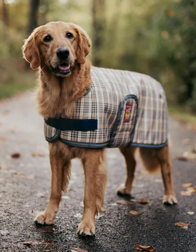 Vista 2 de Manta impermeable para perro Baker XS