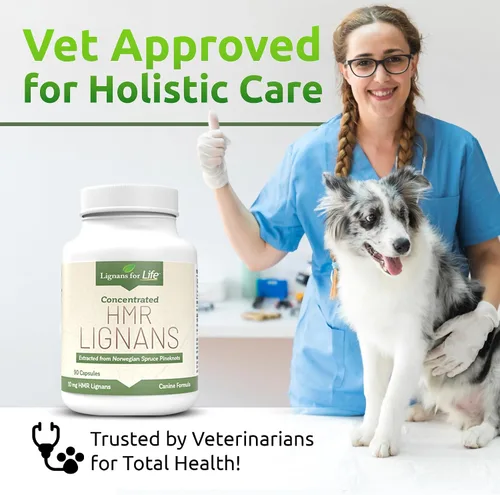 Vista 7 de Lignans For Life HMR LIGNANS Cápsulas de 10 mg – Perfecto para razas de perros pequeños – Vitamina para mascotas sanas Multivitamínico