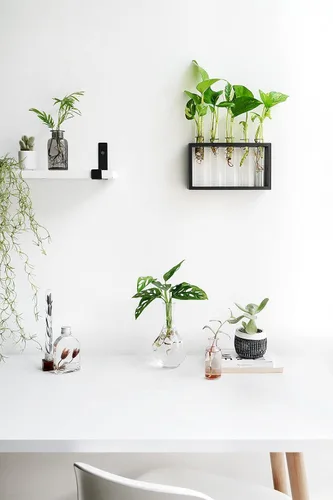 Vista 2 de Mkono Estación de propagación de plantas para colgar en la pared, 5 tubos con soporte de madera, terrario de plantas de escritorio para plantas