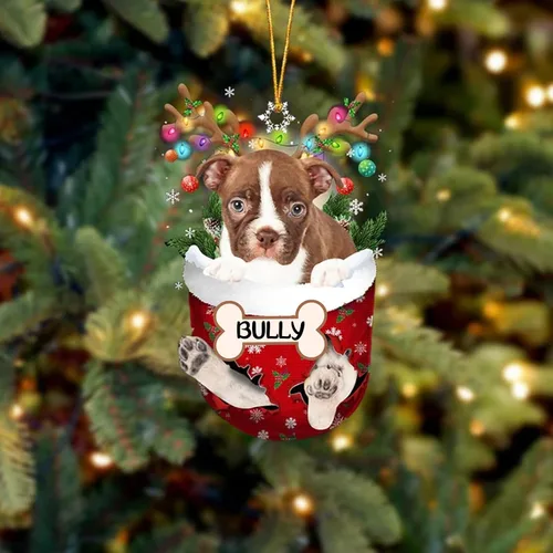 Vista 171 de IZI POD Affenpinscher Adorno de Navidad personalizado para perro, adorno de bolsillo de nieve para perro para árbol de Navidad, adorno acrílico