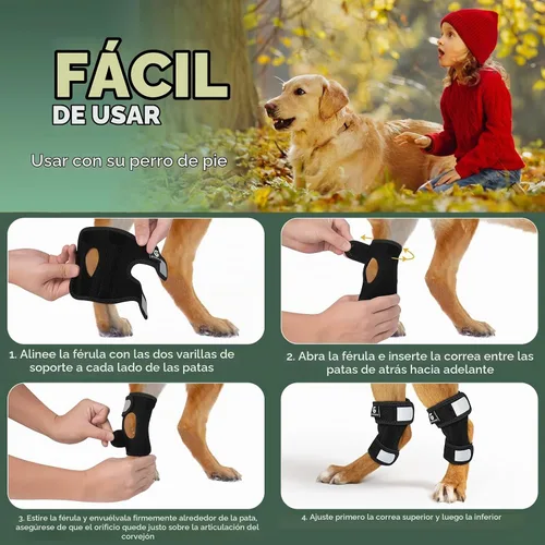 Vista 6 de Tobillera corta de pierna trasera para perro, 1 par