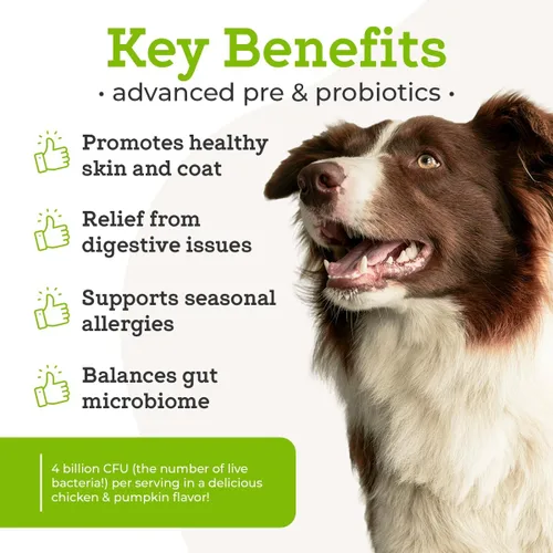 Vista 2 de Dr. Joseph's VetPro Complete Advanced Pre y probióticos en polvo para perros, decoración de comida, 90 cucharadas, apoya la salud intestinal