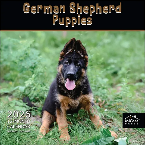 Vista 119 de MICASA PRESS Calendario de pared de Australian Shepherds Aussies 2027 02 - Pastores australianos