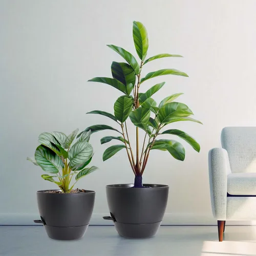 Vista 7 de WSMKSZ Macetas de riego automático medianas de 10/9/8 pulgadas, macetas con agujeros de drenaje de malla para plantas de jardín de interior y Negro
