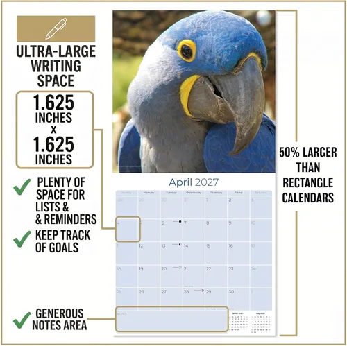Vista 491 de Calendario de grises africanos 2025 2026 – Planificador mensual de pared de aves africanas – 12 x 18 pulgadas (abierto), calendario de pared