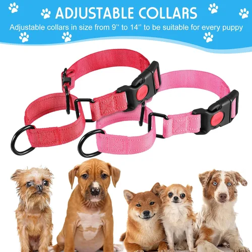 Vista 2 de 4 collares Martingale para perros, multicolor, gargantilla para perros pequeños, collar de cachorro para entrenamiento de cachorros