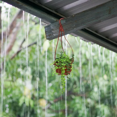 Vista 6 de DOITOOL Macetas colgantes de plástico con gancho para plantas Chlorophytum Octogonal Ventilado Root Plantador para Balcón Jardín Decoración