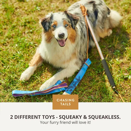 Vista 6 de Chasing Tails Poste de coqueteo para perros pequeños, 26 pulgadas con cuerda de 70 pulgadas y dos juguetes, equipo de juego interactivo para razas