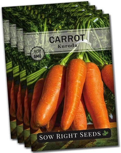 Vista 9 de Sow Right Seeds - Semillas de zanahoria Kuroda para plantar - Paquete de reliquia sin OMG con instrucciones para plantar un huerto casero - Ideal