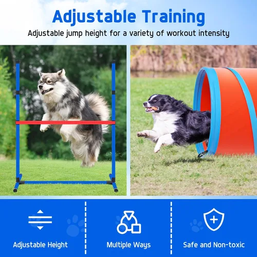 Vista 4 de Juego de equipo de entrenamiento de agilidad para perros, kit de entrenamiento de agilidad para carreras de obstáculos para cachorros, incluye 2