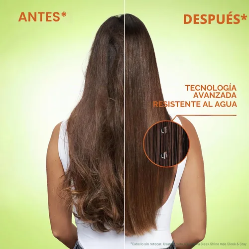 Vista 2 de Garnier Fructis Sleek & Shine Champú, cabello encrespado, seco, inmanejable, 22 onzas líquidas (el embalaje puede variar)