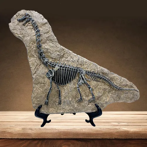 Vista 10 de XINDAM Modelo de estatua de fósil de dinosaurio de resina, esqueleto simulado para exhibición en hogar y oficina, caja decorativa de manualidades