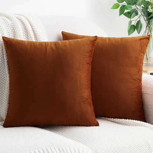 Vista 47 de HWY 50 fundas de almohada decorativas de terciopelo sólido para sofá, sala de estar., Terciopelo, gris, 20x20 pulgadas