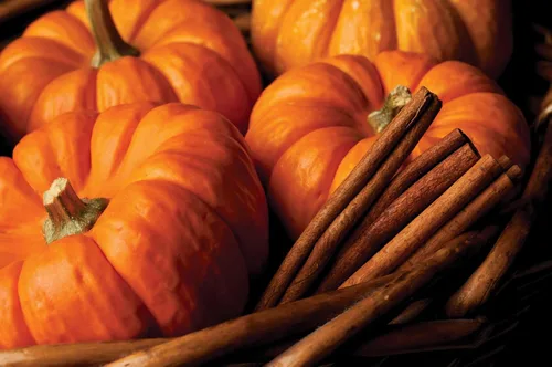 Vista 2 de Root Candles Velas Aromáticas de Otoño Panal de Miel Vela Artesanal Premium Mezcla de Cera de Abeja, Veriglass Pequeño, Especias de Calabaza