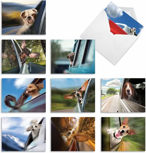 Vista 11 de The Best Card Company - 10 tarjetas de perro en blanco surtidas (4 x 5.12 pulgadas) - Adorables tarjetas de notas de animales en caja para todas