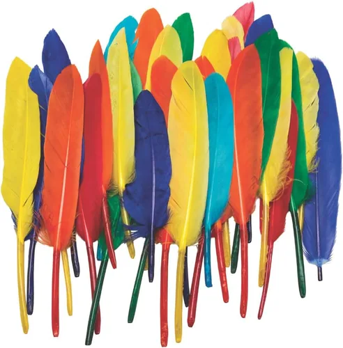Vista 2 de Plumas de pato - Surtidos de colores brillantes