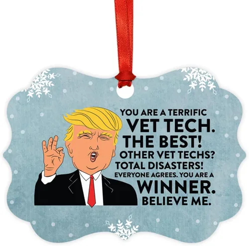 Vista 57 de Andaz Press Presidente Donald Trump Fancy Frame Recuerdo Adorno de Navidad Regalo de broma Ejecutivo de Cuenta, 1 paquete, Divertidas Ideas