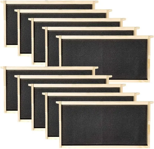 Vista 4 de Amish Made in USA Starter Bee Hive Complete para miel con marcos y cimientos 10 marcos