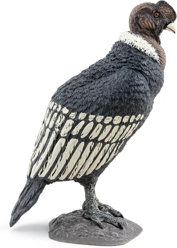 Vista 5 de Papo - Figura realista de cóndor - A partir de 3 años - Colección Wild Life - Juego educativo de aves de presa - Juguete de idea de regalo