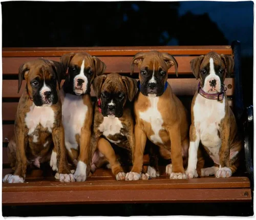 Vista 12 de CafePress
