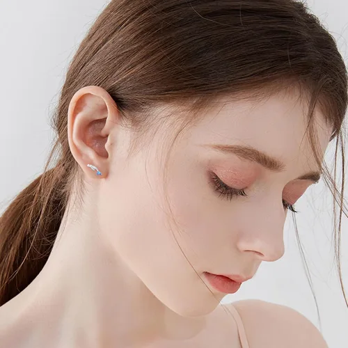 Vista 4 de Aretes de plata de ley S925 con estampado de patas, aretes de búho, aretes de cerdo, aretes de caballo, aretes de murciélago para mujer