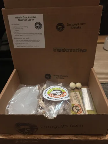 Vista 4 de Kit de inicio Shiitake Plug Spawn - Cultiva tus propios hongos