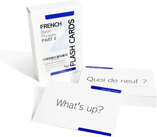 Vista 7 de Pat's Flash Cards Paquete de 250 tarjetas flash francesas esenciales