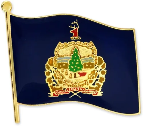 Vista 14 de PinMart Pin de solapa esmaltado con bandera del estado de EE. UU Chapado en oro de Alabama