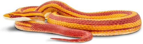 Vista 7 de Safari Ltd. Figura de serpiente de maíz, figura realista de modelo de 5.25 pulgadas, juguete educativo para niños, niñas y niños a partir de 3 años