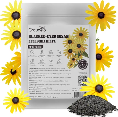 Vista 9 de Groundio Black Eyed Susan Seeds, más de 7500 semillas de flores perennes para plantar en interiores y exteriores, atraen polinizadores Sin OMG