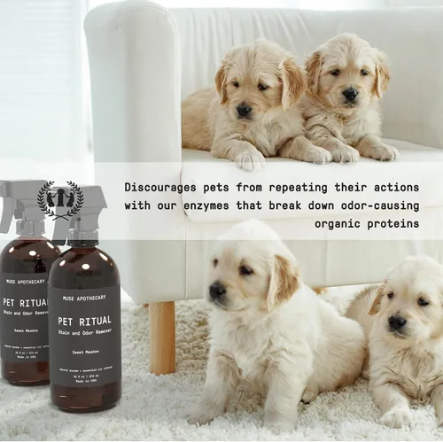 Vista 5 de Muse Apothecary Limpiador completo de alfombras enzimáticas para eliminar manchas y olores de mascotas, removedor de manchas de perros