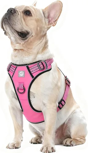Vista 10 de Arnés de chaleco para perros - Acolchado ajustable reflectante con diseño fácil de poner y accesorio de correa (S, negro)
