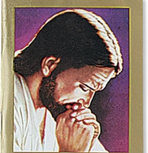 Vista 5 de Needzo Membrillo Minutos con Jesús Sacramentado Edición bilingüe, libro de oración devocional diario diario, 5.5 pulgadas