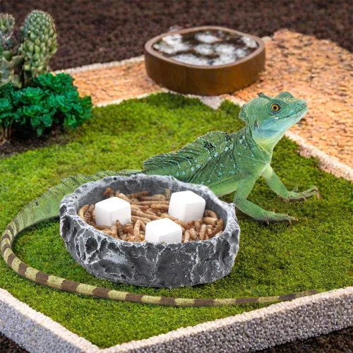 Vista 5 de DQITJ 18 piezas de piedra de calcio para reptiles pequeños, minerales de calcio natural para reptiles, tortuga, tortuga, lagarto, rana, camaleón