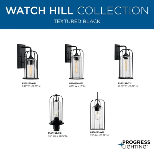 Vista 9 de Progress Lighting Watch Hill Collection - Farol de pared grande con textura de cristal transparente negro con textura de 1 luz para casa de campo