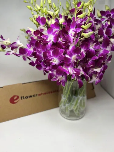 Vista 5 de eflowerwholesale - Orquídeas Moradas de Corte Premium (Apoya Pequeños Negocios) (Azul, 10 Tallos con Florero)