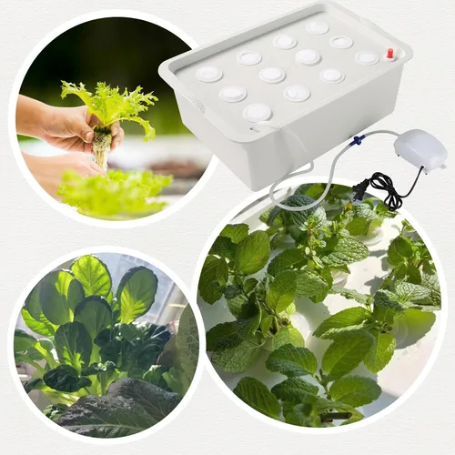 Vista 6 de NATGAI Kit de cultivo de sistema hidropónico con bomba de aire, 12 agujeros, caja de cultivo sin suelo, caja de jardín para hierbas, lechuga