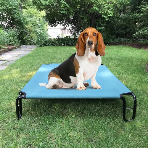 Vista 3 de Cama elevada para perros, 35 x 28 x 8 pulgadas (pequeña, verde)