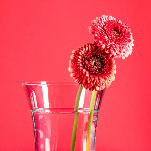 Vista 6 de VitaJuwel Flora - Florero (vidrio) con sodalita, ágata musgo cuarzo transparente añade vitalidad a las flores. Regalo único para el día de San