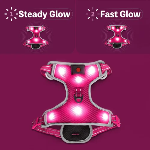 Vista 4 de Arnés para perro que brilla en la oscuridad recargable por USB (rosa, L)