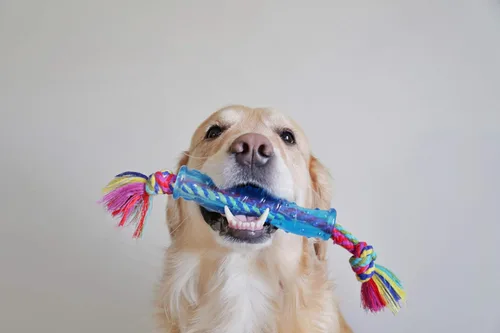 Vista 3 de Petstages Juguete masticable alternativo para perros Orka Stick