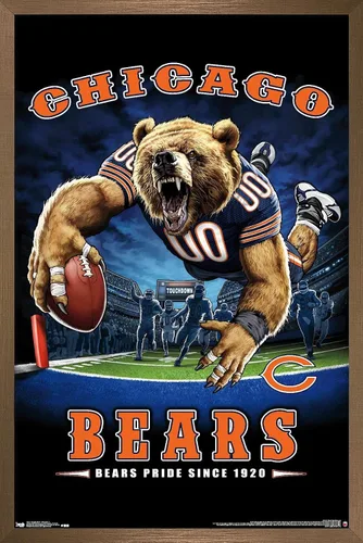 Vista 15 de Trends International NFL Chicago Bears - Póster de pared de End Zone 17, 14.725 x 22.375 pulgadas, versión enmarcada de madera de granero