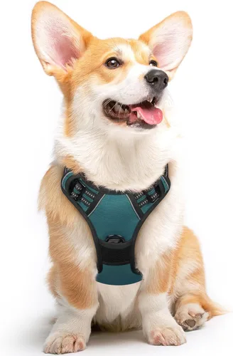 Vista 28 de Eagloo Arnés para perro pequeño, sin tirones, chaleco de servicio con tiras reflectantes y asa de control, ajustable y cómodo para caminar, arnés